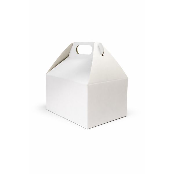 cx_maleta_form18_branca