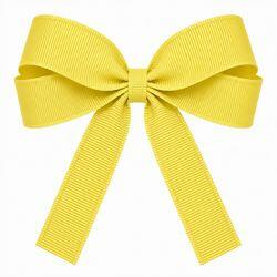 laco_amarelo_canario_resolucao_reduzida