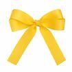 laco_amarelo_gema_resolucao_reduzida