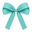 laco_azul_tiffany_resolucao_reduzida