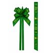 laco_rapido_natal_verde